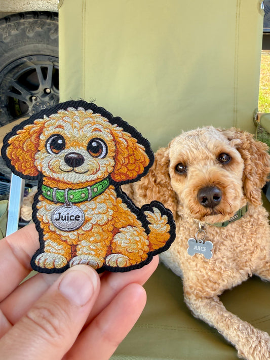 JUICE Adventure Patch